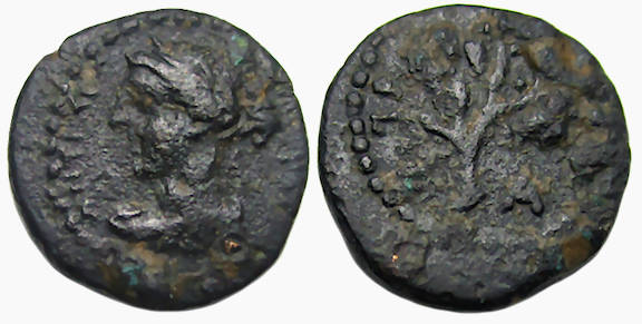 Antioch Syria Ae : Bust of Apollo / Laurel Branch: Dated Issue